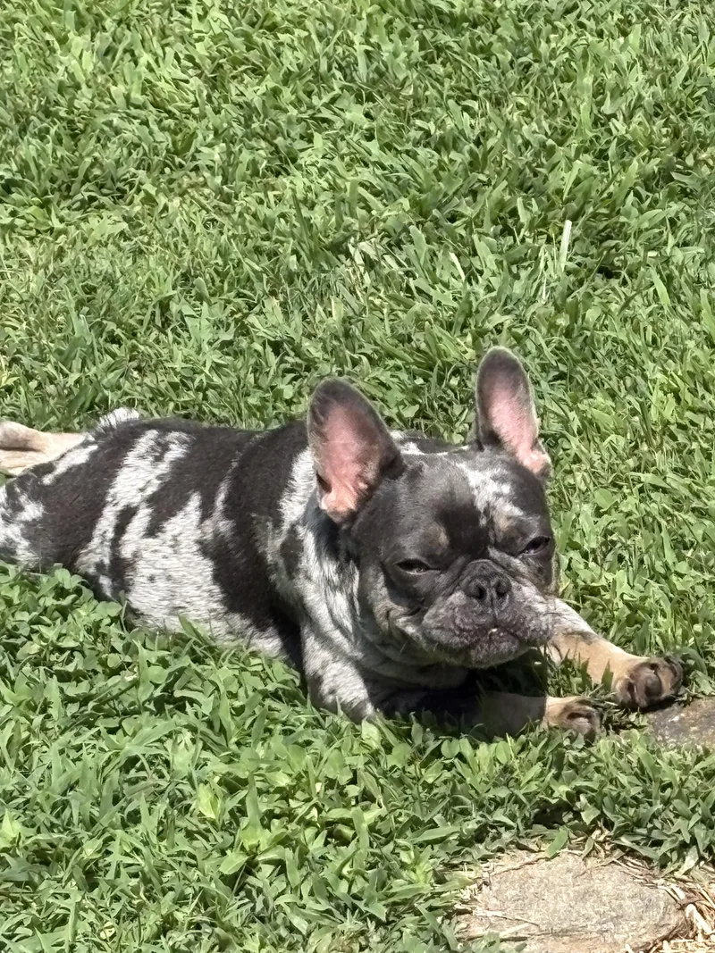 Walter thumbnail 2