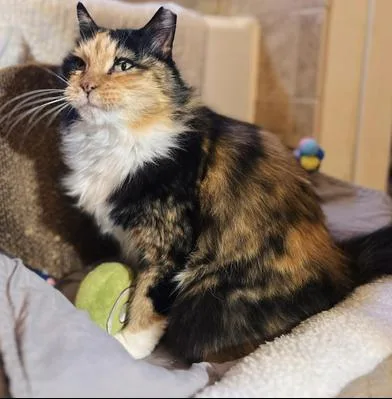 Gemma Mae "gemgem" thumbnail 2