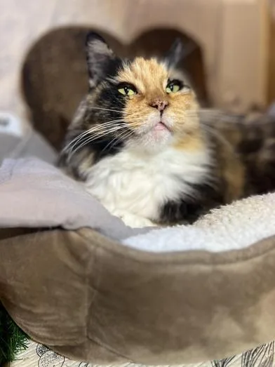 Gemma Mae "gemgem" thumbnail 4