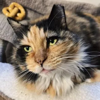 Gemma Mae "gemgem" thumbnail 6