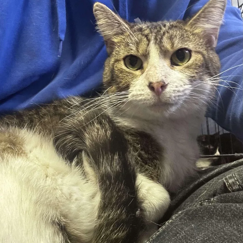 Mr. Arleen thumbnail 2