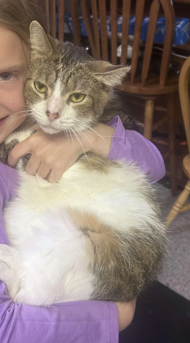 Mr. Arleen thumbnail 3