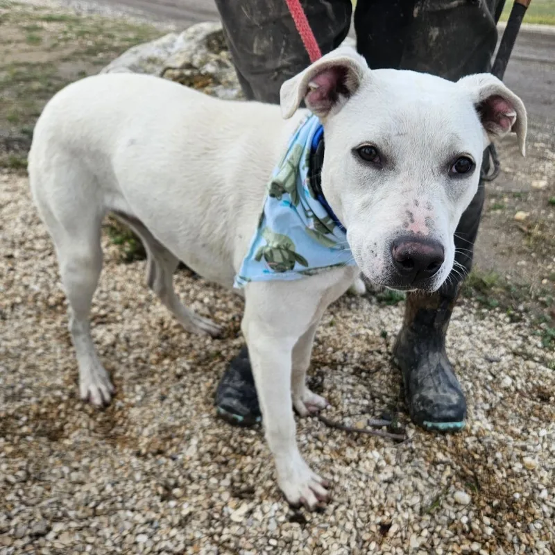 Loki Jum thumbnail 2