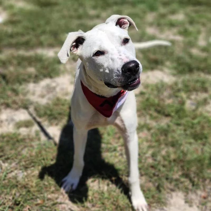 Loki Jum thumbnail 3