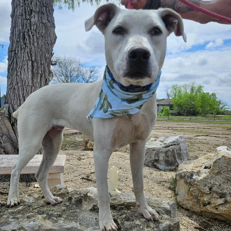 Loki Jum thumbnail 4