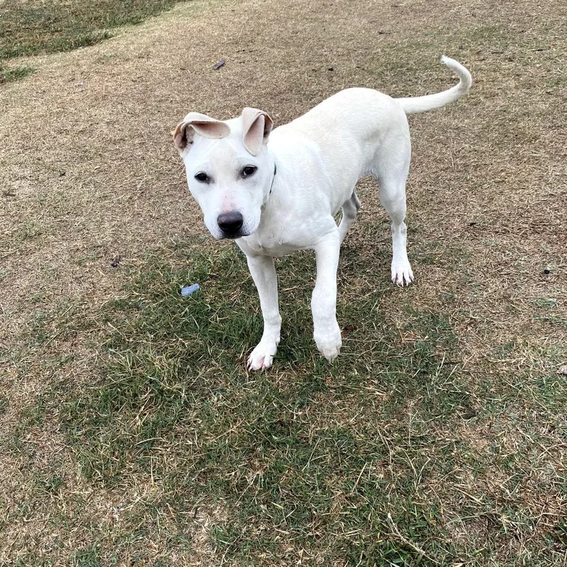 Loki Jum thumbnail 5