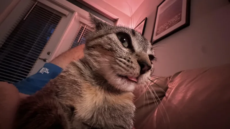 Elegant Etta thumbnail 5