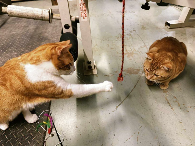 Charlie And Jonathan thumbnail 2