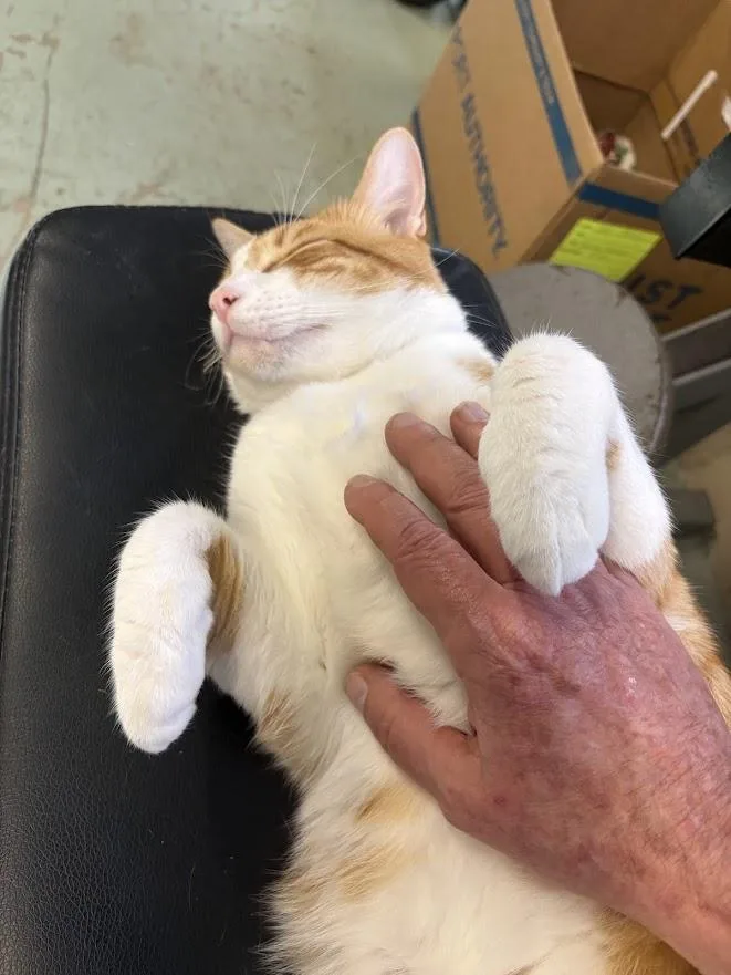 Charlie And Jonathan thumbnail 3