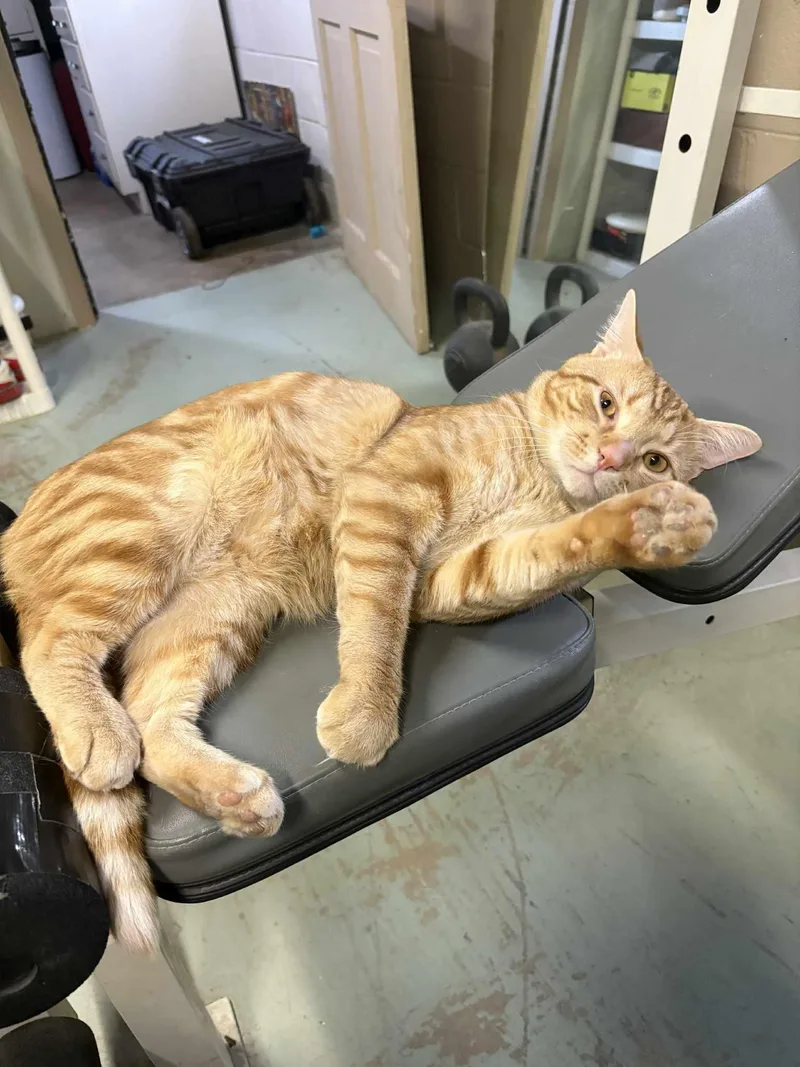 Charlie And Jonathan thumbnail 4