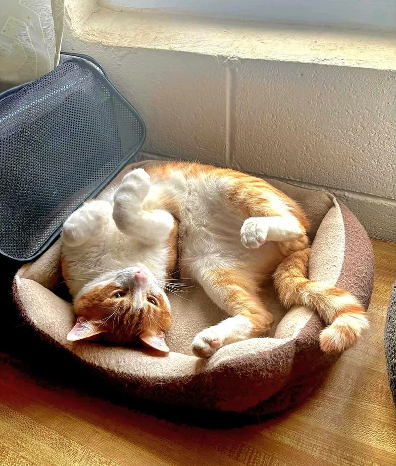 Charlie And Jonathan thumbnail 5