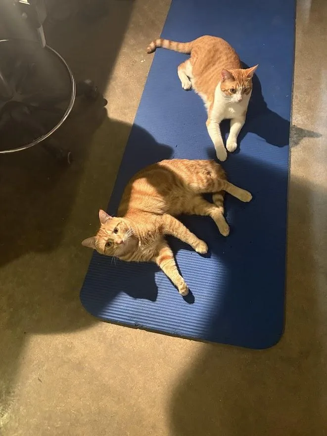 Charlie And Jonathan thumbnail 6