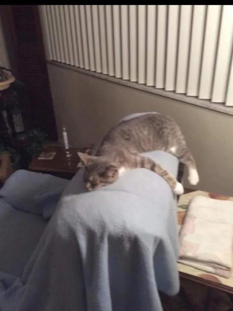 Mittens thumbnail 2