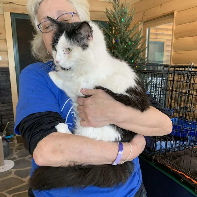 Moon Pie thumbnail 3