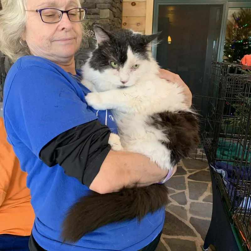 Moon Pie thumbnail 5