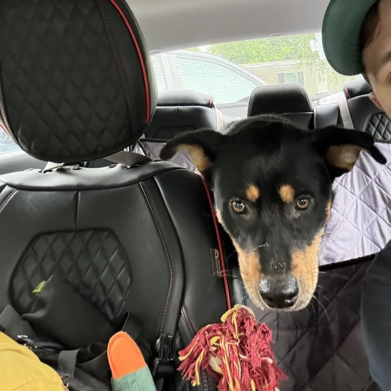 Xena thumbnail 2