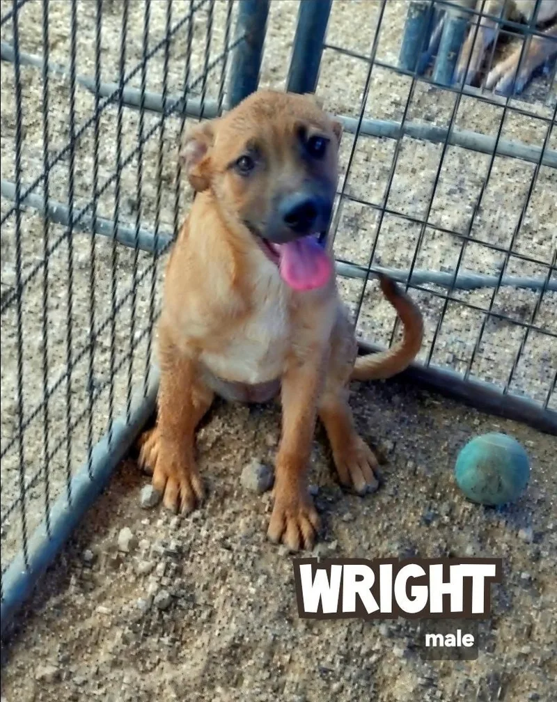 Wright