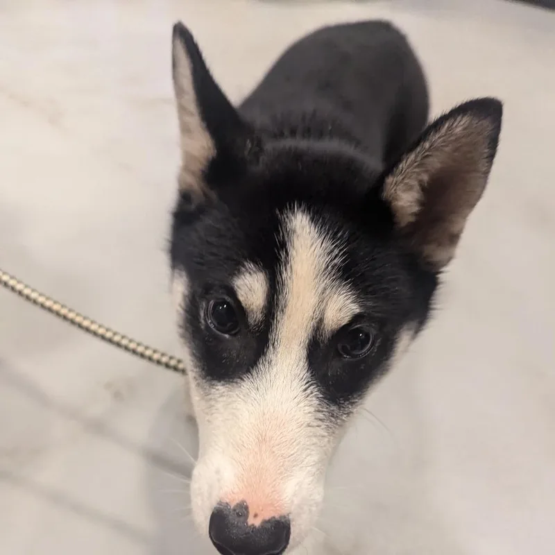 Haagen Dazs thumbnail 2