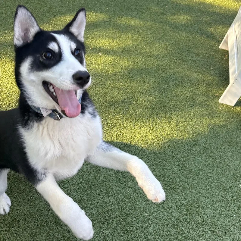 Haagen Dazs thumbnail 3