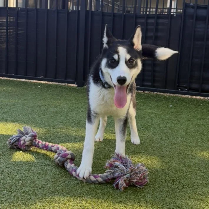 Haagen Dazs thumbnail 5