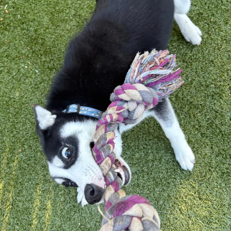 Haagen Dazs thumbnail 6