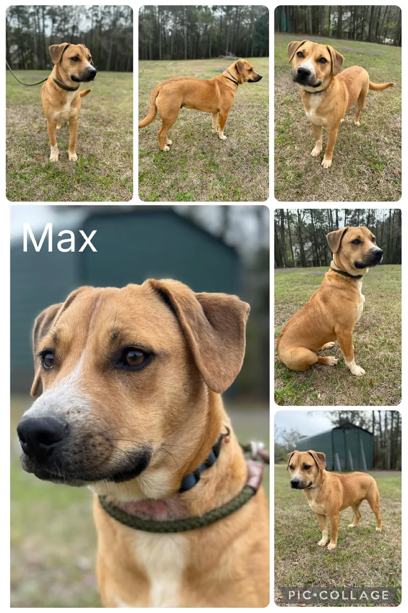Max