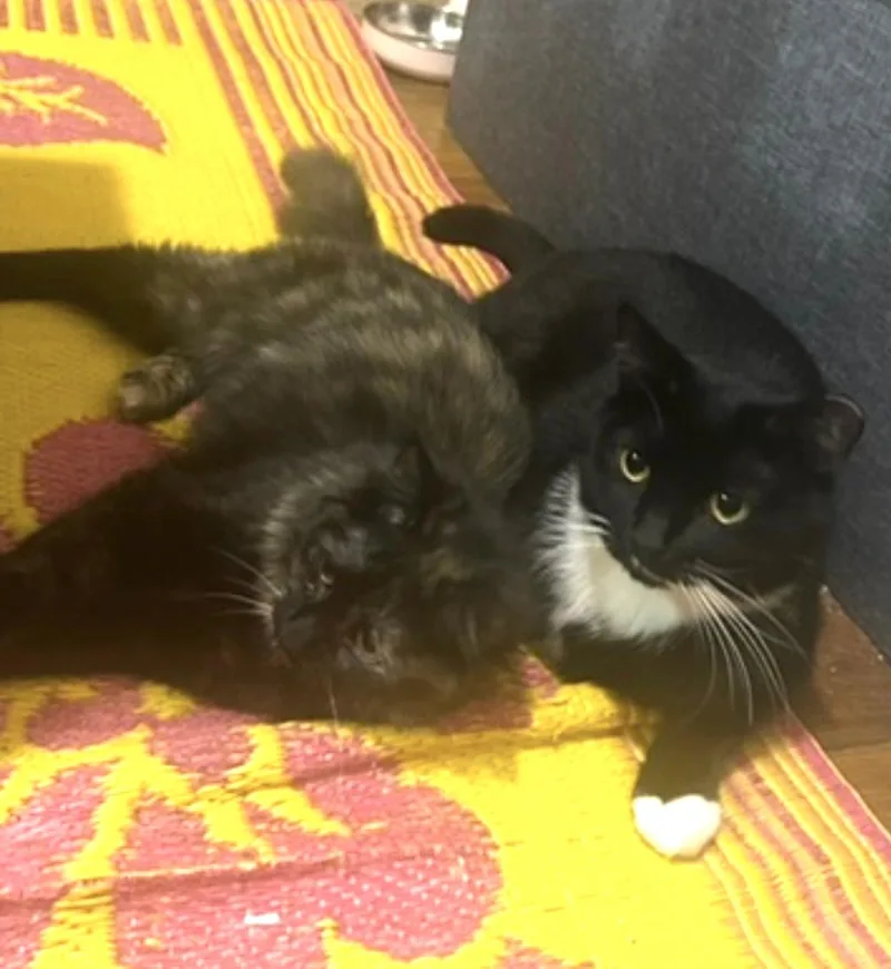Tia And Benny thumbnail 5