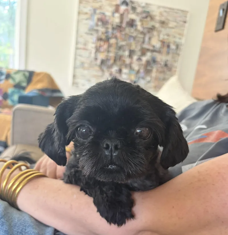 Izzy Miller thumbnail 2