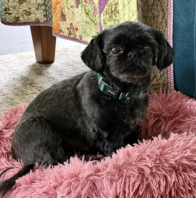 Izzy Miller thumbnail 3