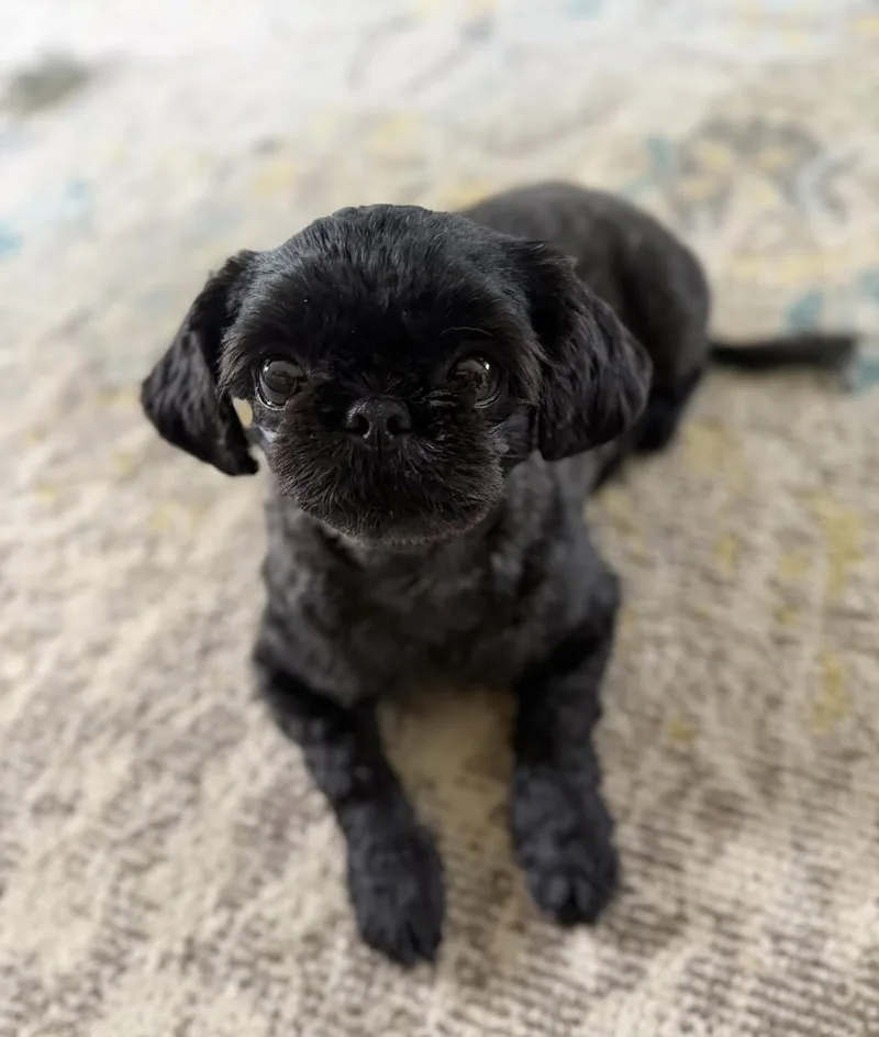 Izzy Miller thumbnail 4