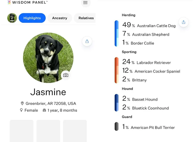 Jasmine thumbnail 2