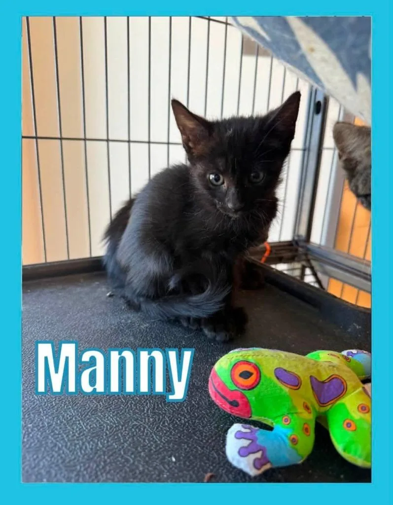 Manny thumbnail 2
