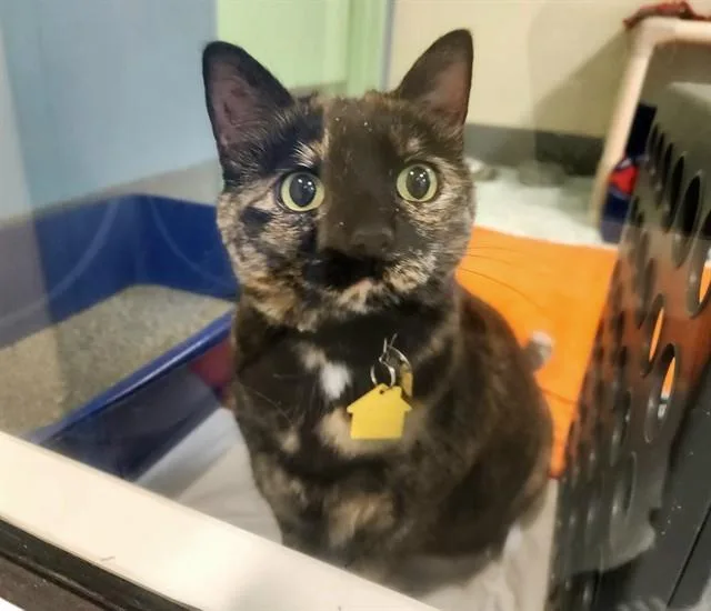 Thelma