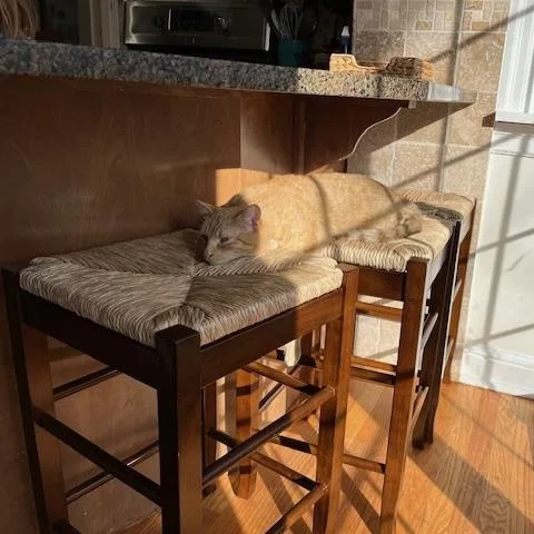 Clementine thumbnail 3