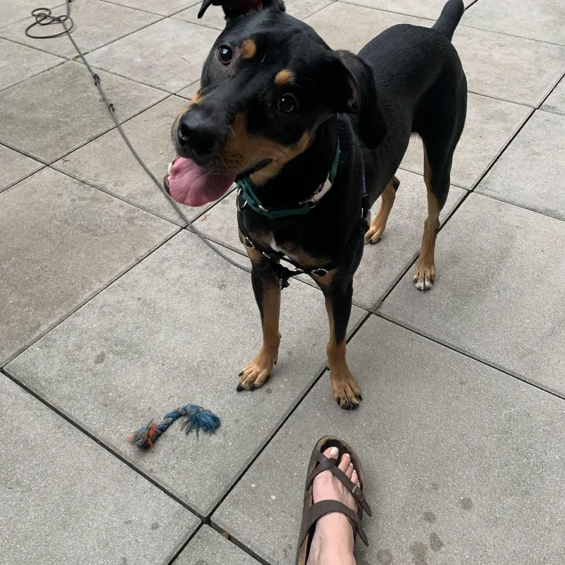 Oscar Courtesty Post thumbnail 5