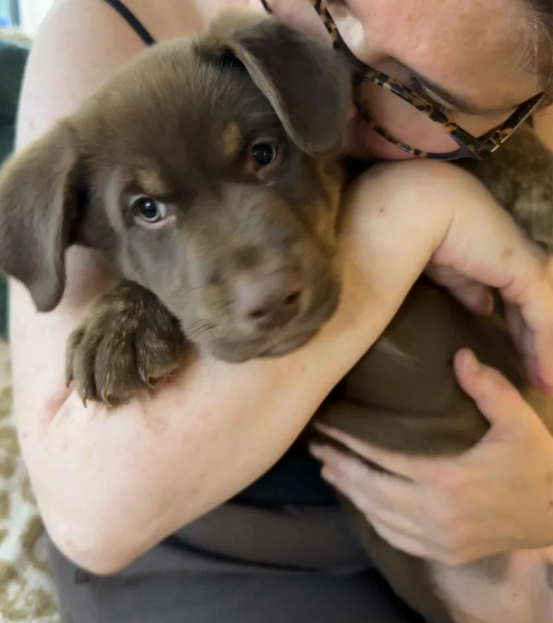 Teddy thumbnail 3