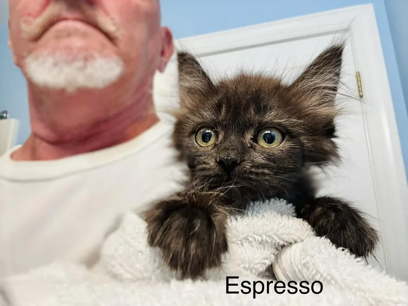 Espresso thumbnail 3