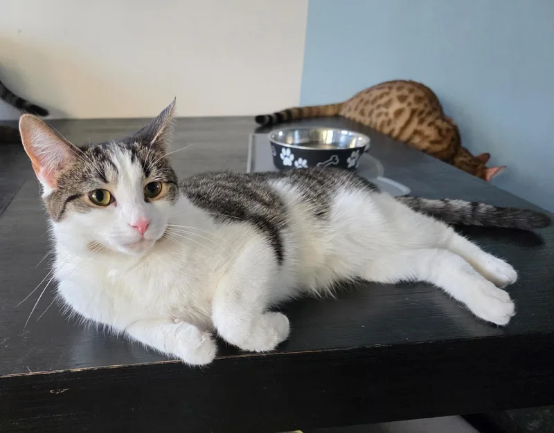 Charlie & Penelopethe Perfect thumbnail 2