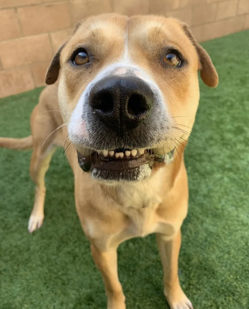 Urgent  Save Felicity thumbnail 3