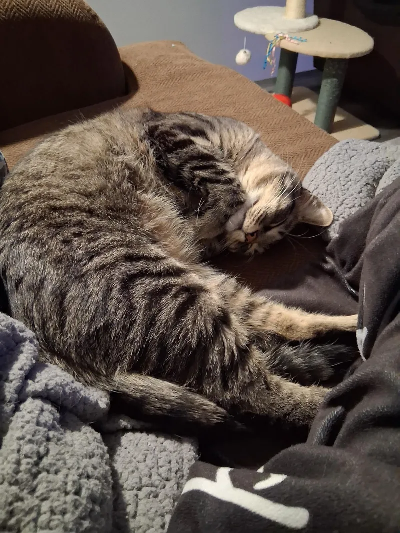 Snuggle thumbnail 5
