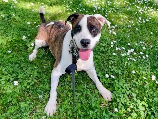 Kiri  Athletic  thumbnail 2