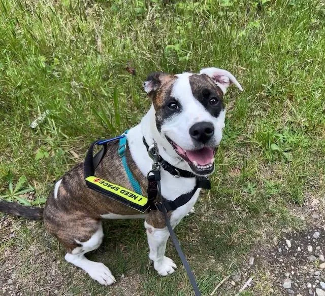 Kiri  Athletic  thumbnail 3