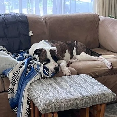 Kiri  Athletic  thumbnail 4