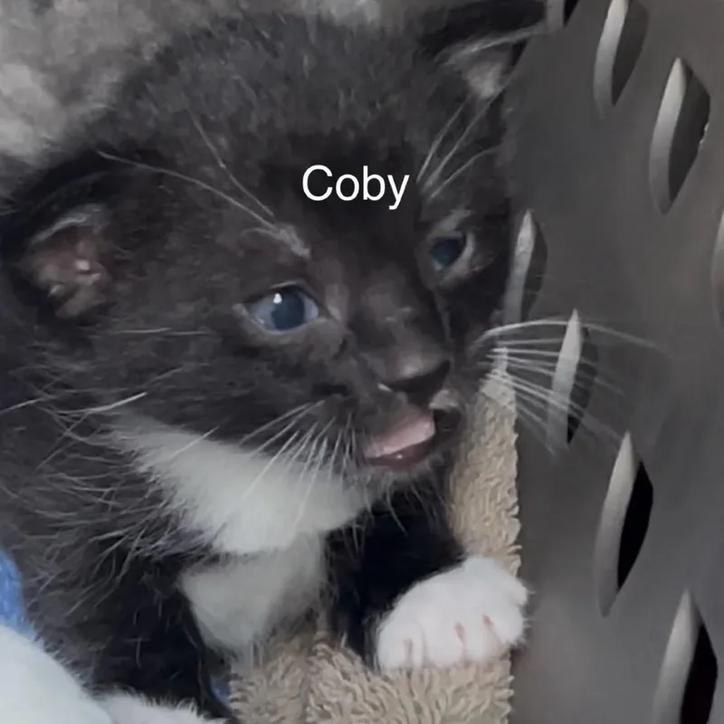 Cory