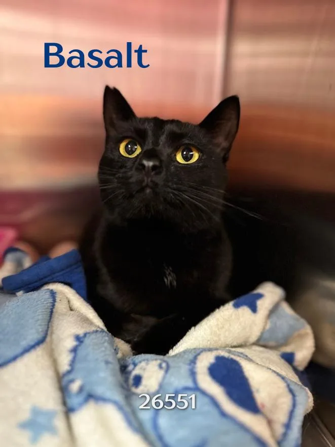 Basalt thumbnail 2