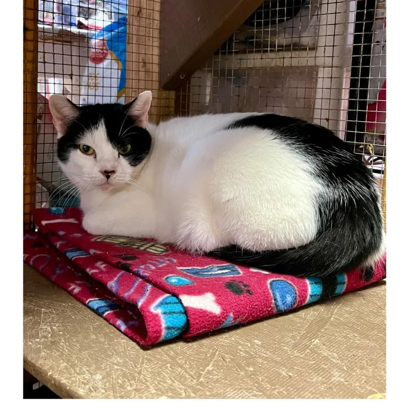 Milo Aka Milos thumbnail 5