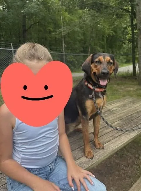 Nala Nilla thumbnail 2