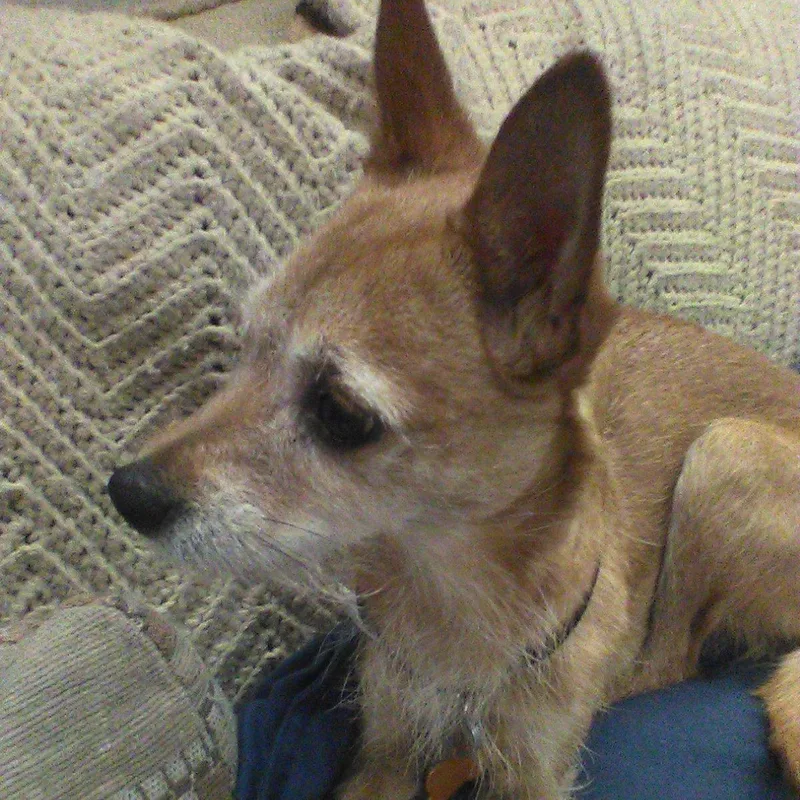 Izzy thumbnail 4