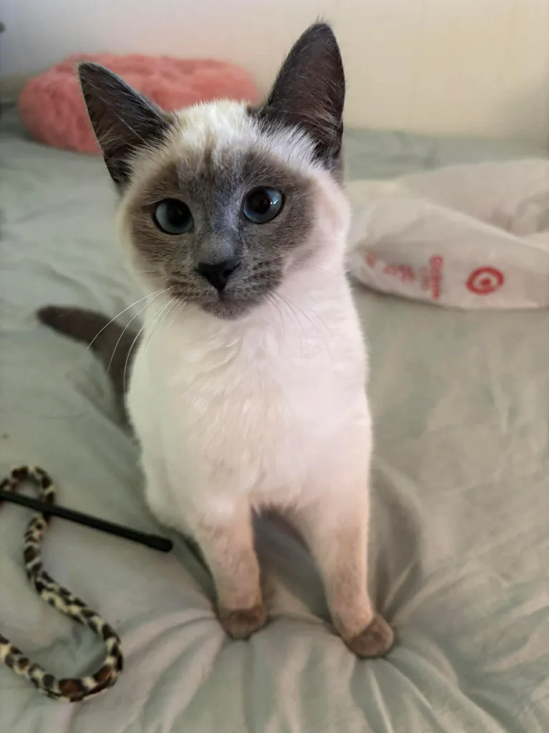 Eyre And Bronte thumbnail 2