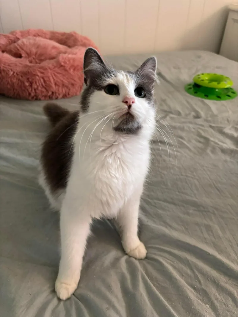 Eyre And Bronte thumbnail 3